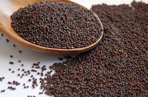 Black Mustard Seeds 